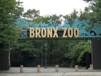 Världens största zoo