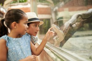 Indonesian girls pointing at python in terrarium